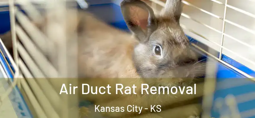  Air Duct Rat Removal Kansas City - KS