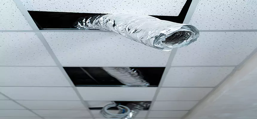 Our Air Duct Pet Hair Removal Services in Kansas City, KS