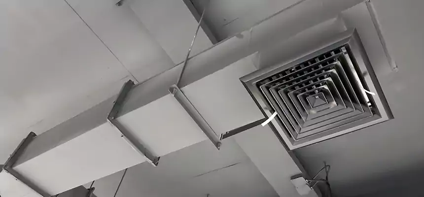 Our Rodent Droppings In Vents Services in Kansas City, KS