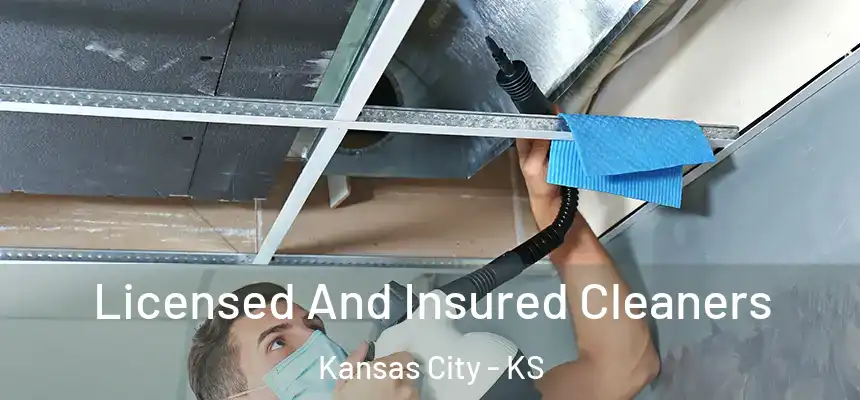  Licensed And Insured Cleaners Kansas City - KS