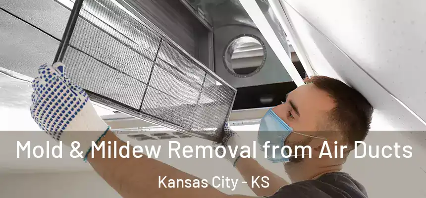 Mold & Mildew Removal from Air Ducts Kansas City - KS