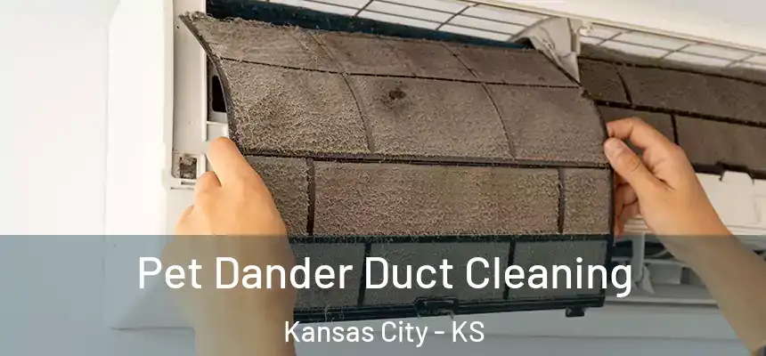  Pet Dander Duct Cleaning Kansas City - KS