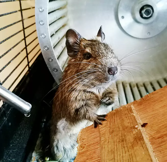 Why Homeowners & Businesses Trust Us Kansas City, KS