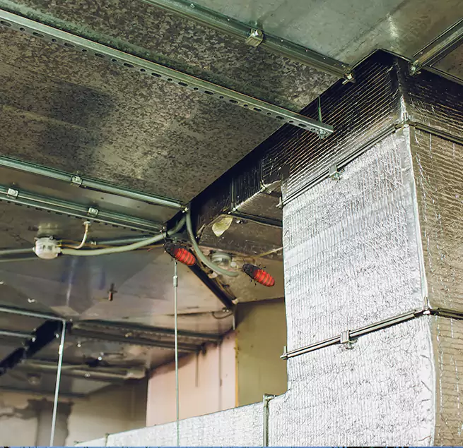 Why Homeowners & Businesses Trust Us Kansas City, KS?